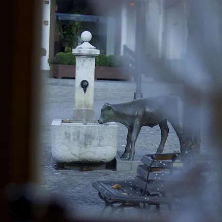 Hotel Posthotel Roessli 3*