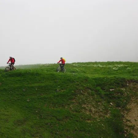 Posthotel Roessli Hotel