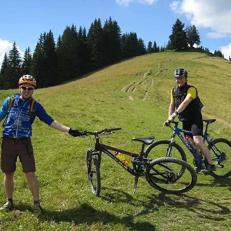 Hotel Posthotel Roessli 3*