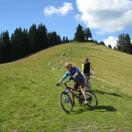 Posthotel Roessli Otel Gstaad