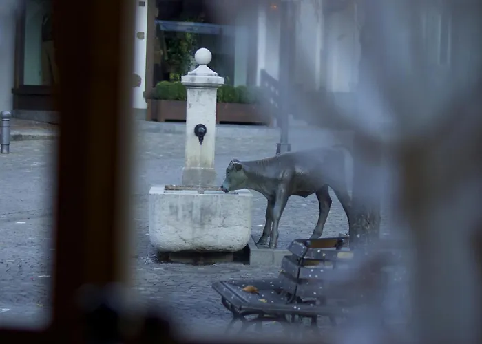 Hotel Posthotel Roessli 3*