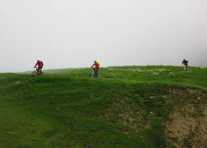 Posthotel Roessli Hotel