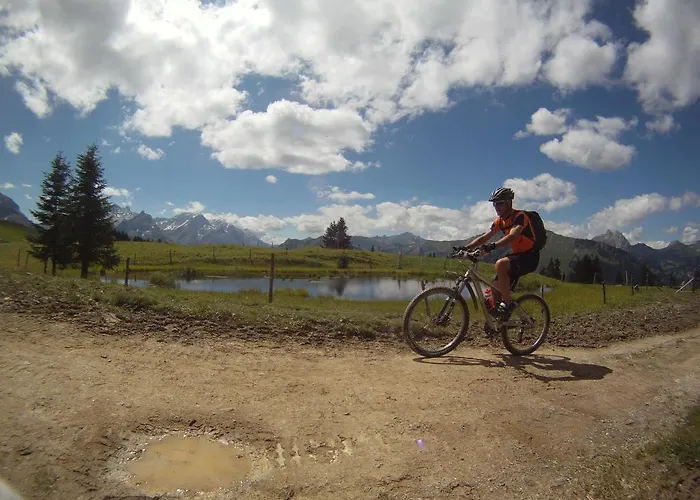 Hotel Posthotel Roessli Gstaad