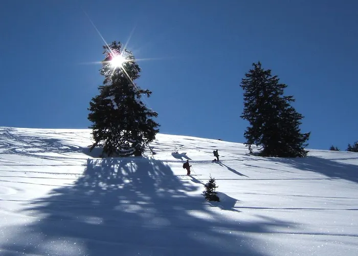 Posthotel Roessli 3*