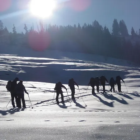 Hotell Posthotel Roessli 3*