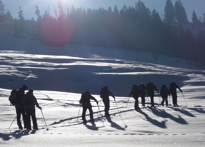 Hotel Posthotel Roessli 3*